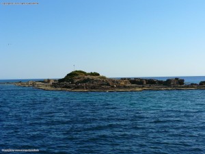 Delfininsel Tuerkei