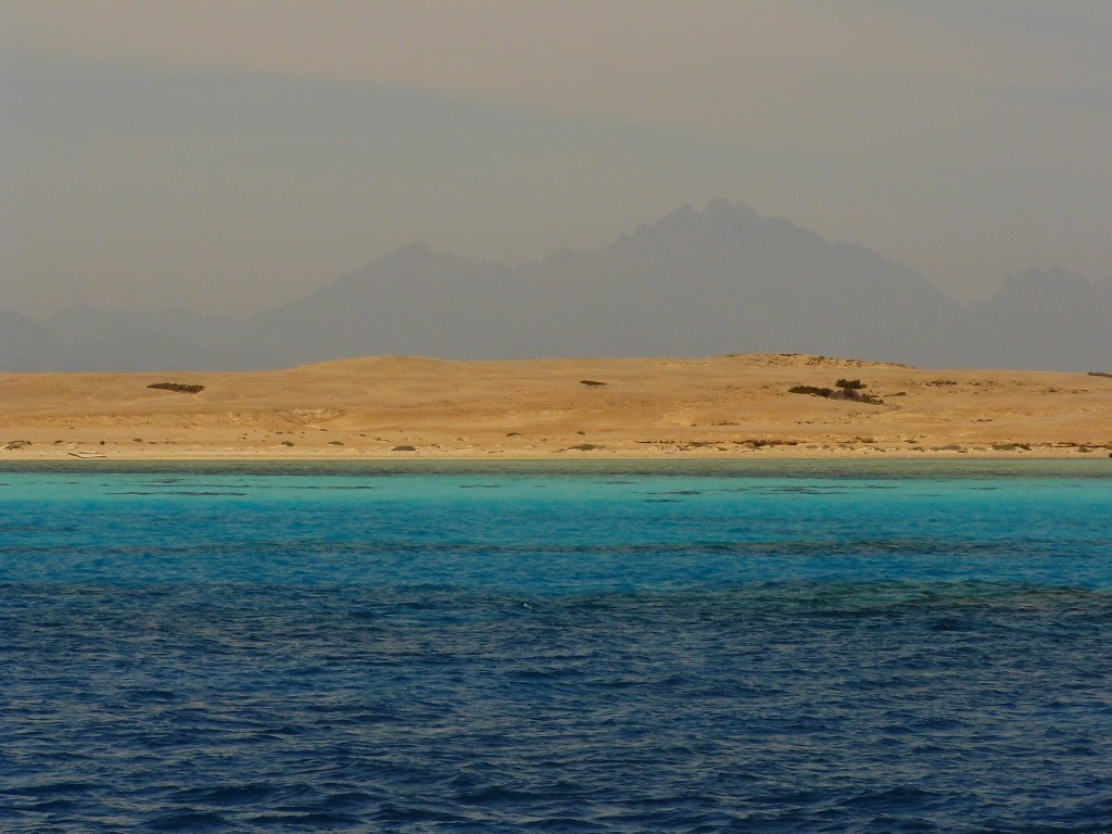 Rotes Meer Aegypten Red Sea Egypt