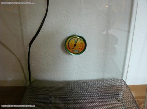 Thermometer im Inkubator zur stetigen Kontrolle einer optimalen Bruettemperatur